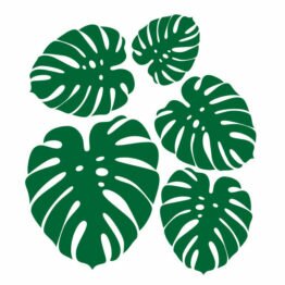 monstera leafes wall decals